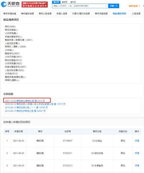 羅永浩新動向 兄弟攜手入股數碼科技公司，錘子數碼轉讓細紅線商標及軟件技術
