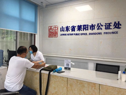 以創新服務模式賦能社會經濟咨詢，驅動高質量發展新引擎